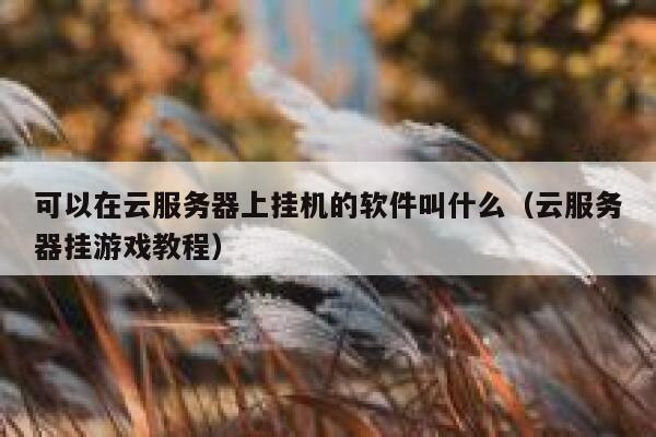 可以在云服务器上挂机的软件叫什么（云服务器挂游戏教程） 第1张