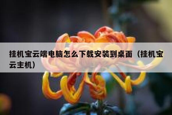 挂机宝云端电脑怎么下载安装到桌面（挂机宝云主机） 第1张