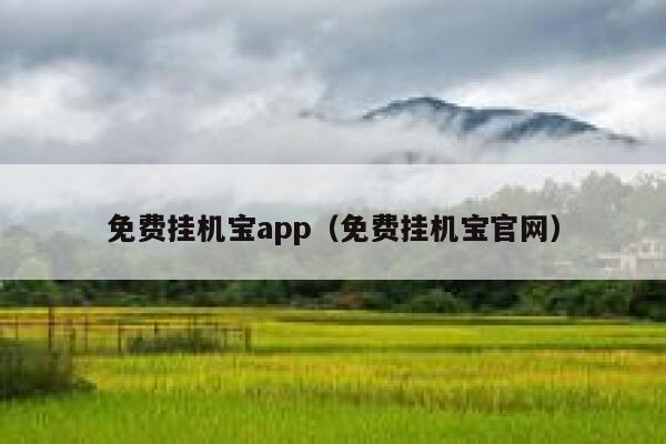 免费挂机宝app（免费挂机宝官网） 第1张