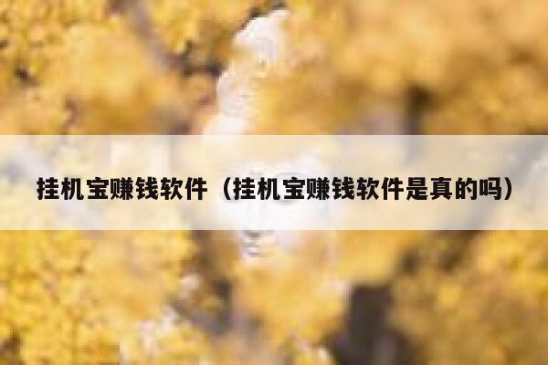 挂机宝赚钱软件（挂机宝赚钱软件是真的吗） 第1张