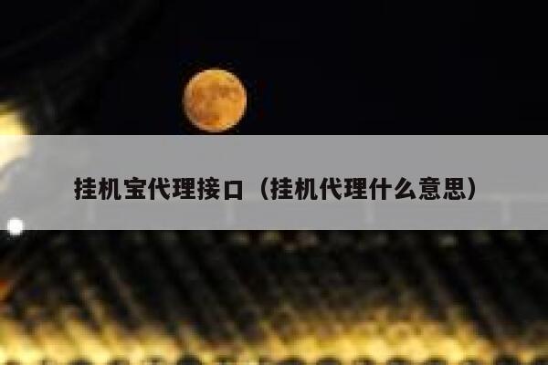 挂机宝代理接口（挂机代理什么意思） 第1张