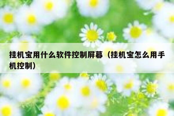 挂机宝用什么软件控制屏幕(挂机宝怎么用手机控制) 第1张 挂机宝用什么软件控制屏幕(挂机宝怎么用手机控制) 第1张