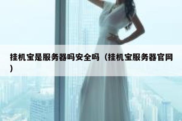 挂机宝是服务器吗安全吗（挂机宝服务器官网） 第1张