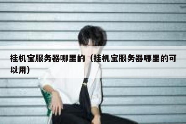 挂机宝服务器哪里的（挂机宝服务器哪里的可以用） 第1张