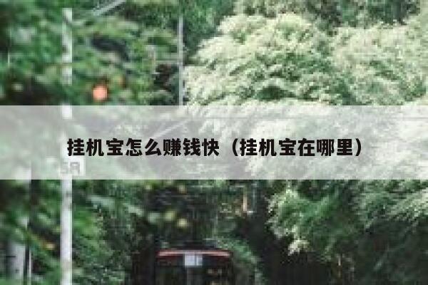 挂机宝怎么赚钱快(挂机宝在哪里) 第1张 挂机宝怎么赚钱快(挂机宝在哪里) 第1张