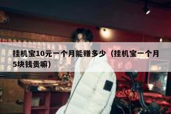 挂机宝10元一个月能赚多少（挂机宝一个月5块钱贵嘛） 第1张