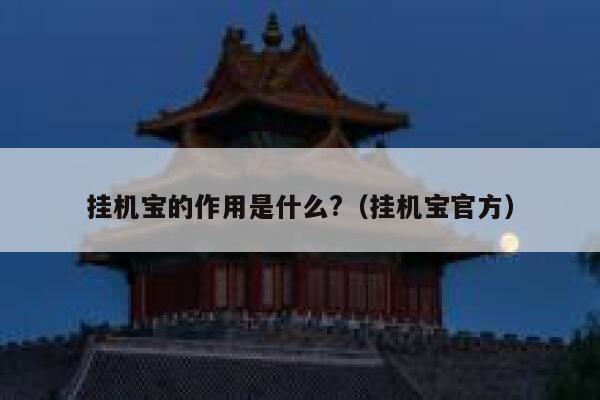 挂机宝的作用是什么?（挂机宝官方） 第1张