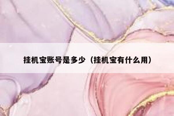 挂机宝账号是多少（挂机宝有什么用） 第1张