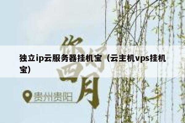 独立ip云服务器挂机宝（云主机vps挂机宝） 第1张
