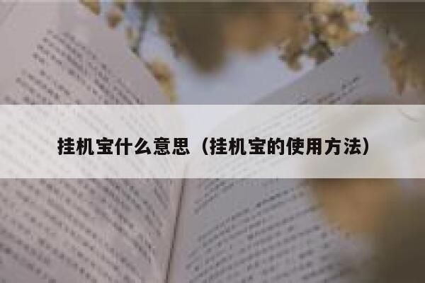 挂机宝什么意思（挂机宝的使用方法） 第1张