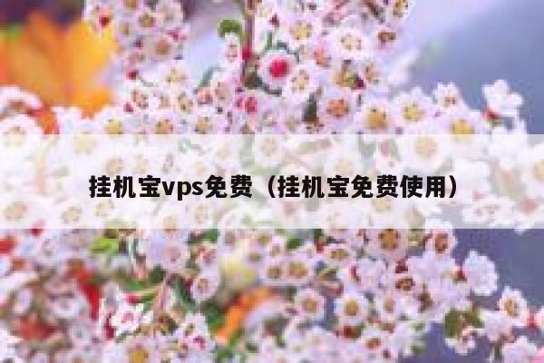 挂机宝vps免费（挂机宝免费使用） 第1张