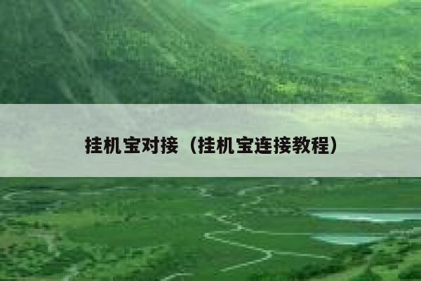 挂机宝对接（挂机宝连接教程） 第1张