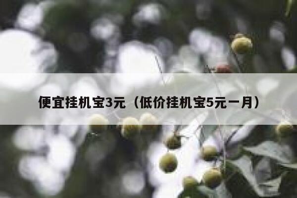 便宜挂机宝3元（低价挂机宝5元一月） 第1张