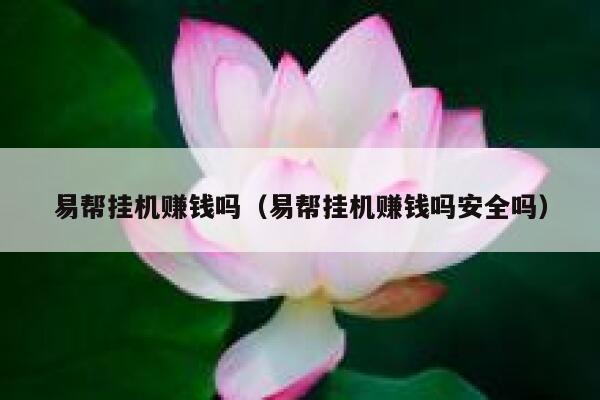 易帮挂机赚钱吗（易帮挂机赚钱吗安全吗） 第1张