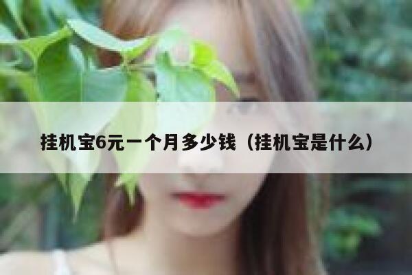 挂机宝6元一个月多少钱（挂机宝是什么） 第1张