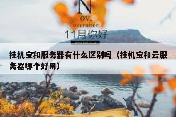 挂机宝和服务器有什么区别吗（挂机宝和云服务器哪个好用） 第1张