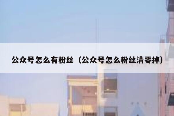 公众号怎么有粉丝（公众号怎么粉丝清零掉） 第1张