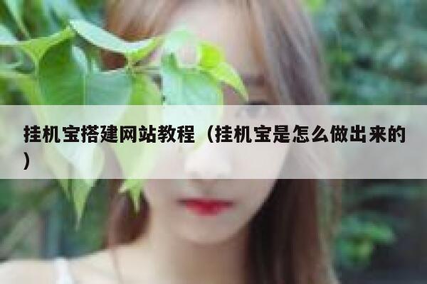 挂机宝搭建网站教程（挂机宝是怎么做出来的） 第1张