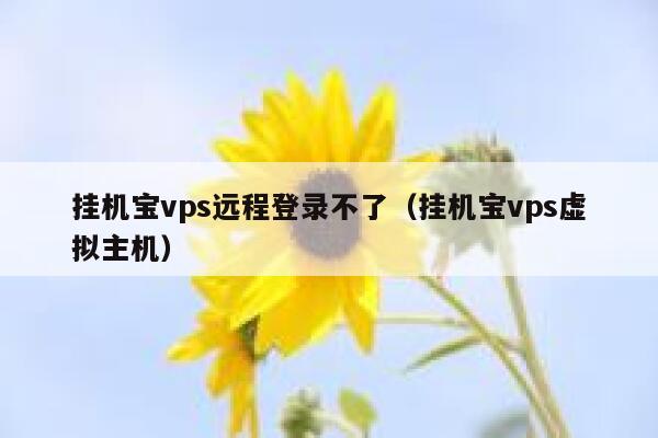 挂机宝vps远程登录不了（挂机宝vps虚拟主机） 第1张