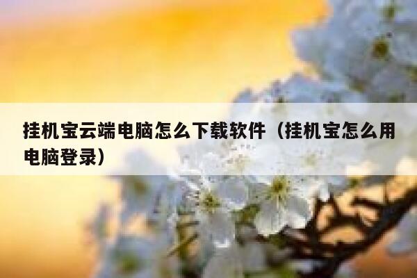 挂机宝云端电脑怎么下载软件（挂机宝怎么用电脑登录） 第1张