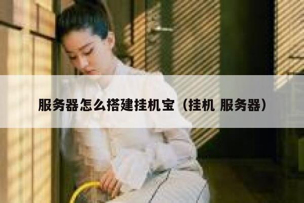 服务器怎么搭建挂机宝（挂机 服务器） 第1张