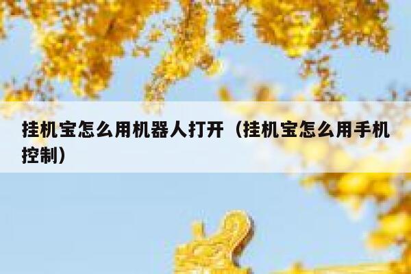挂机宝怎么用机器人打开（挂机宝怎么用手机控制） 第1张