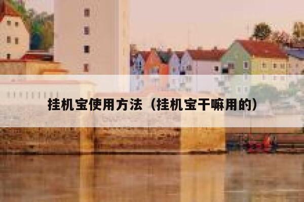 挂机宝使用方法（挂机宝干嘛用的） 第1张