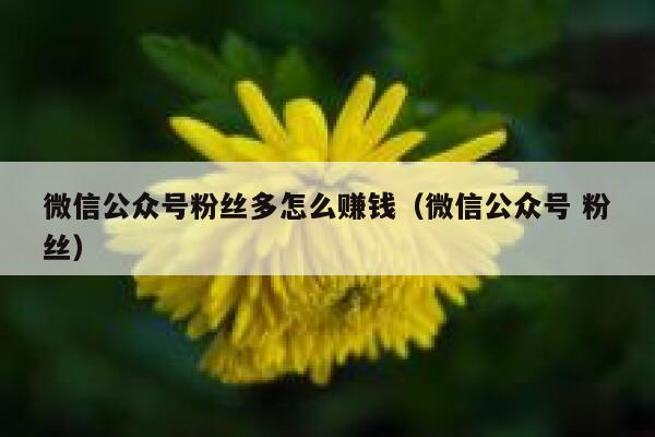 微信公众号粉丝多怎么赚钱（微信公众号 粉丝） 第1张