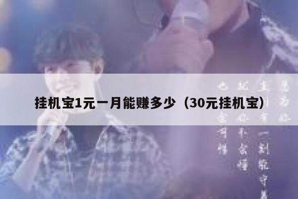 挂机宝1元一月能赚多少（30元挂机宝） 第1张