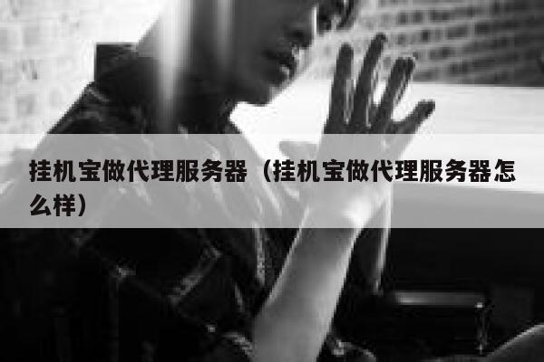 挂机宝做代理服务器（挂机宝做代理服务器怎么样） 第1张