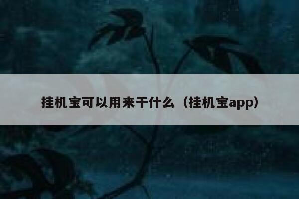 挂机宝可以用来干什么（挂机宝app） 第1张