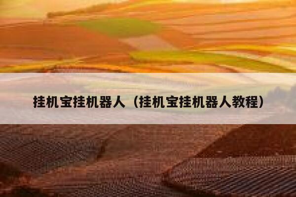 挂机宝挂机器人（挂机宝挂机器人教程） 第1张