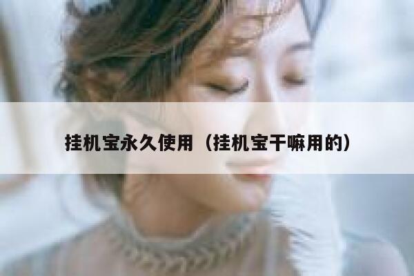 挂机宝永久使用（挂机宝干嘛用的） 第1张
