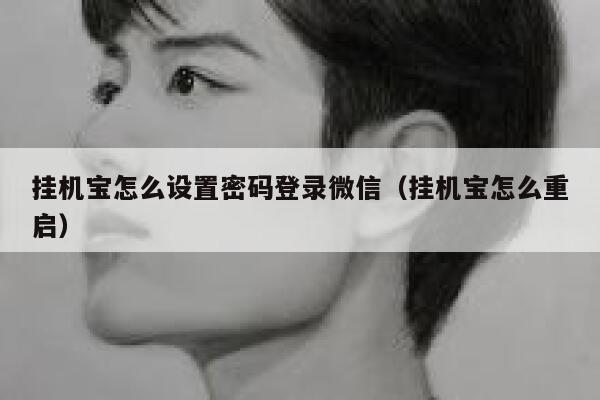 挂机宝怎么设置密码登录微信（挂机宝怎么重启） 第1张