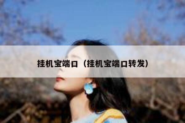 挂机宝端口（挂机宝端口转发） 第1张