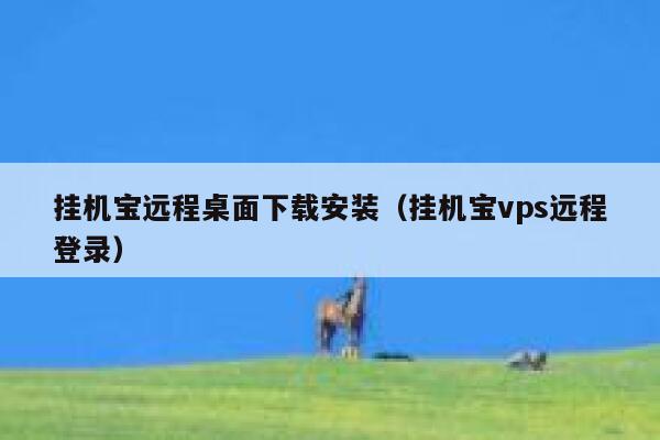挂机宝远程桌面下载安装（挂机宝vps远程登录） 第1张