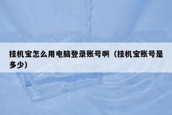 挂机宝怎么用电脑登录账号啊（挂机宝账号是多少） 第1张