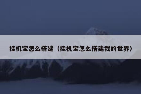 挂机宝怎么搭建（挂机宝怎么搭建我的世界） 第1张