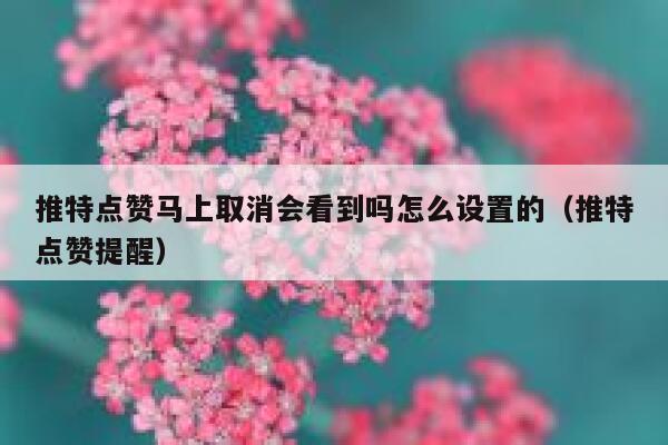 推特点赞马上取消会看到吗怎么设置的（推特点赞提醒） 第1张