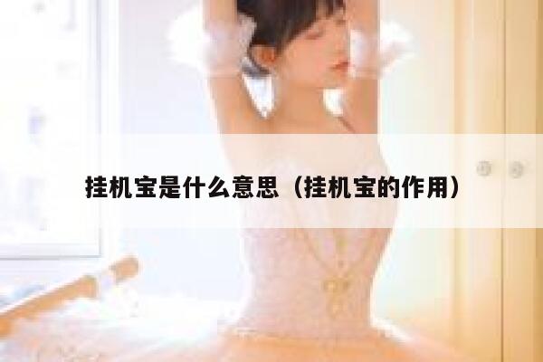 挂机宝是什么意思（挂机宝的作用） 第1张
