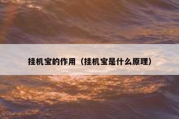 挂机宝的作用（挂机宝是什么原理） 第1张