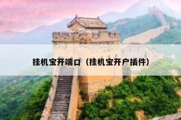 挂机宝开端口（挂机宝开户插件） 第1张