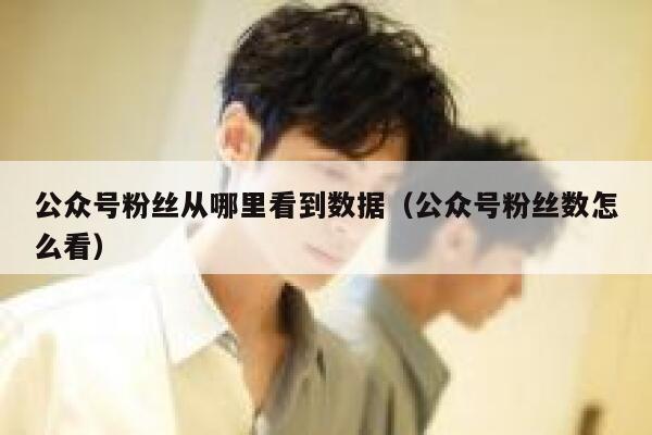 公众号粉丝从哪里看到数据（公众号粉丝数怎么看） 第1张