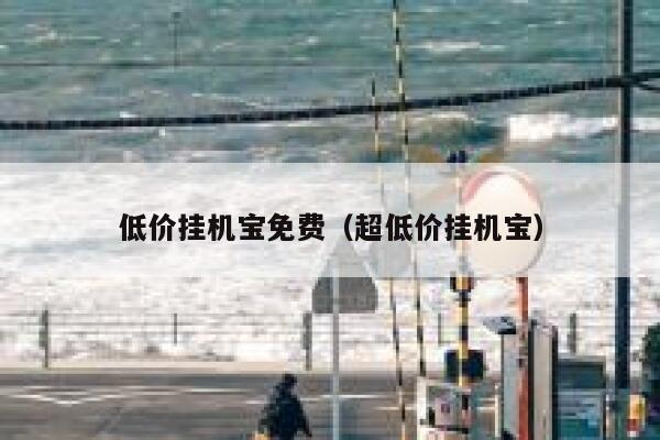 低价挂机宝免费（超低价挂机宝） 第1张