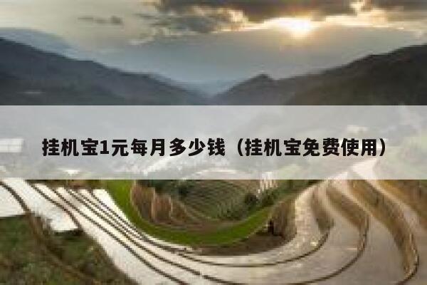 挂机宝1元每月多少钱（挂机宝免费使用） 第1张