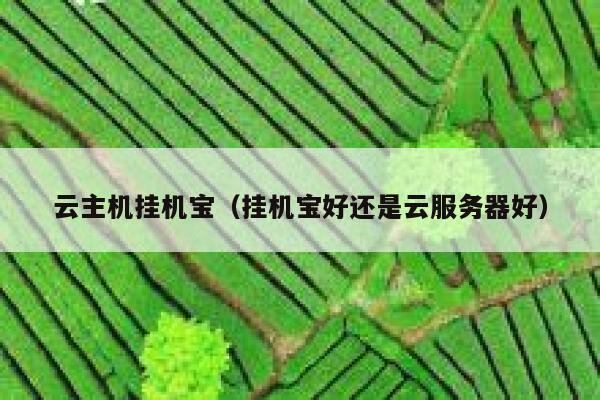 云主机挂机宝（挂机宝好还是云服务器好） 第1张