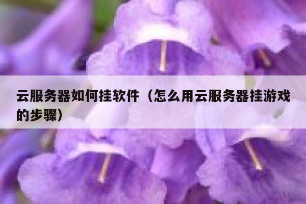云服务器如何挂软件（怎么用云服务器挂游戏的步骤） 第1张