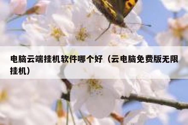 电脑云端挂机软件哪个好（云电脑免费版无限挂机） 第1张