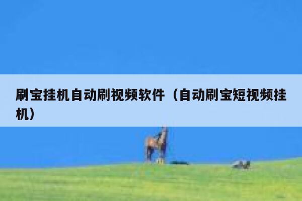 刷宝挂机自动刷视频软件（自动刷宝短视频挂机） 第1张