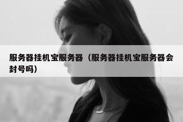 服务器挂机宝服务器（服务器挂机宝服务器会封号吗） 第1张
